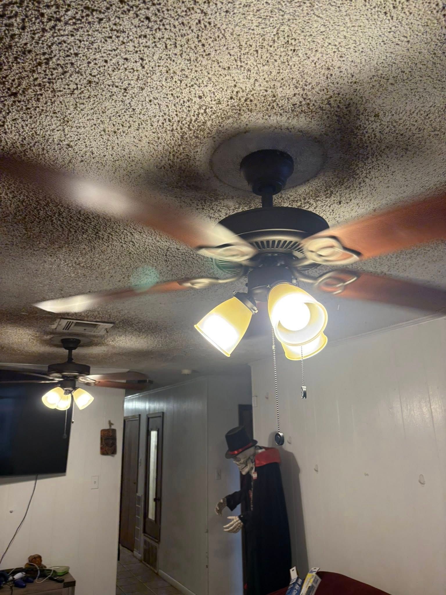 Ceiling fans with lights in a room with stained ceiling. A figure dressed in a black coat and a hat is hanging.