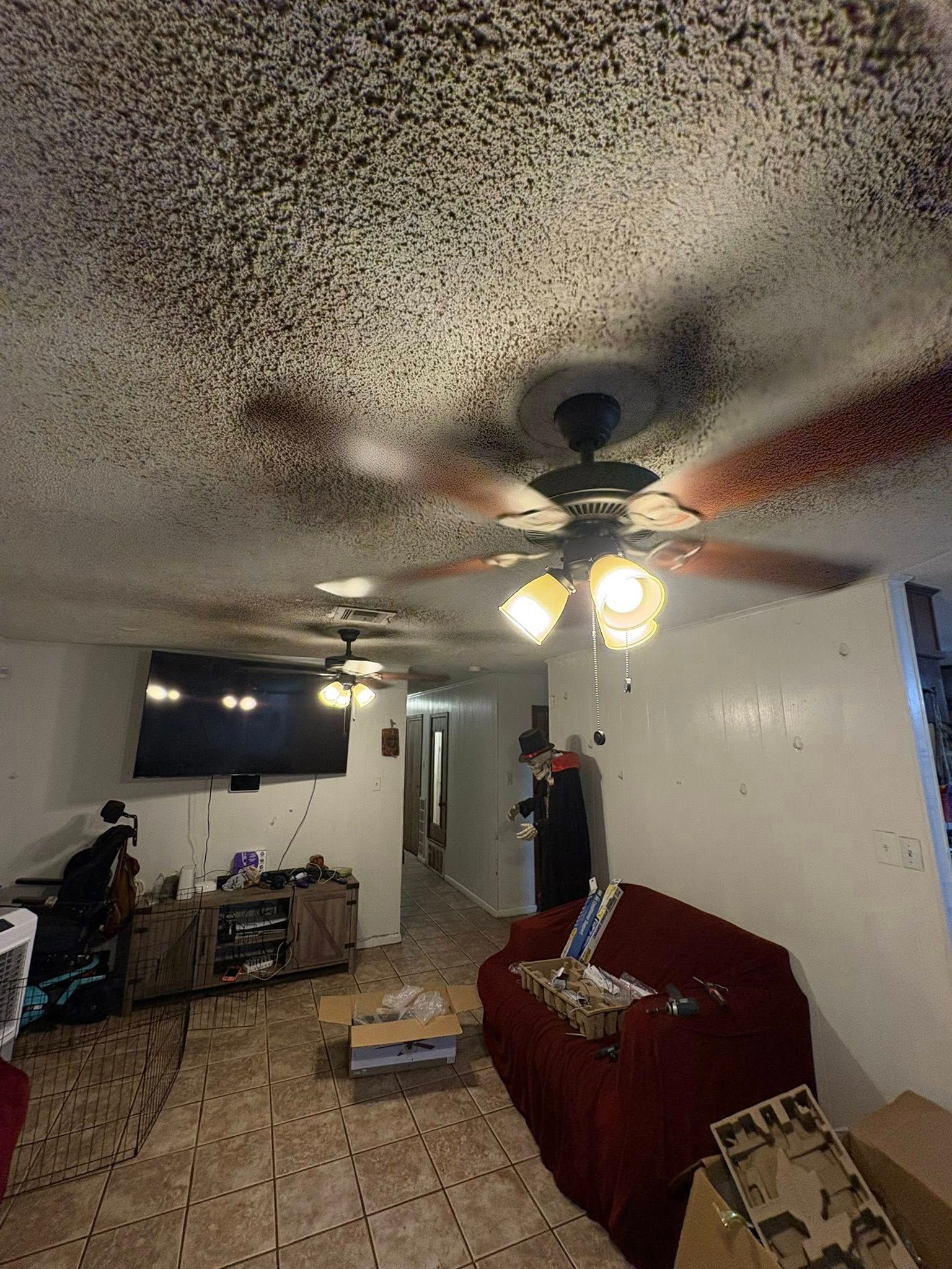 A living room with a ceiling covered in mold, ceiling fans, a TV, and a red sofa.