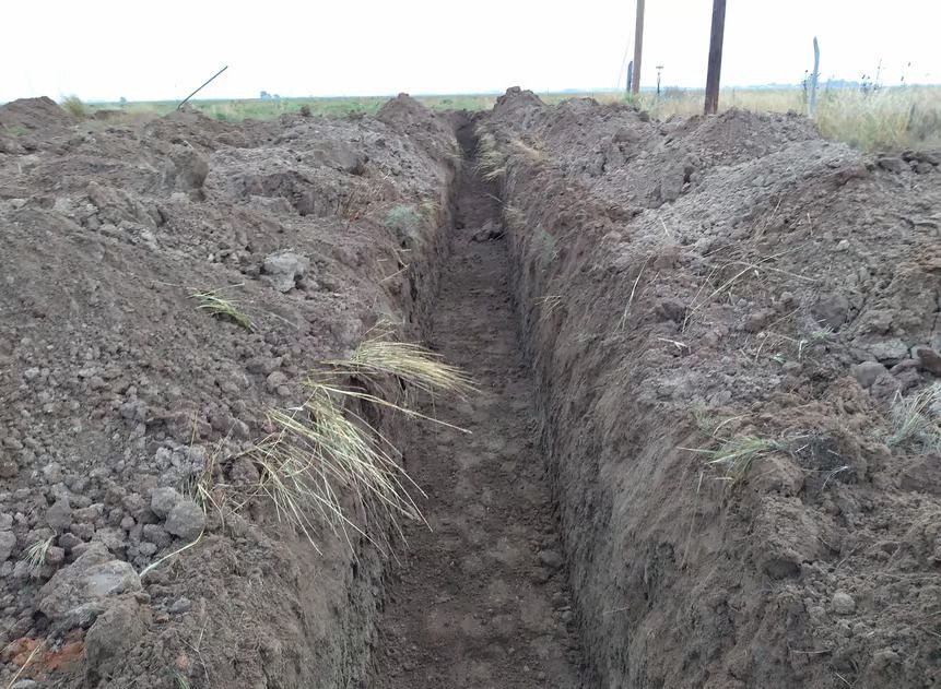 A trench in the dirt in a field with grass growing out of it.