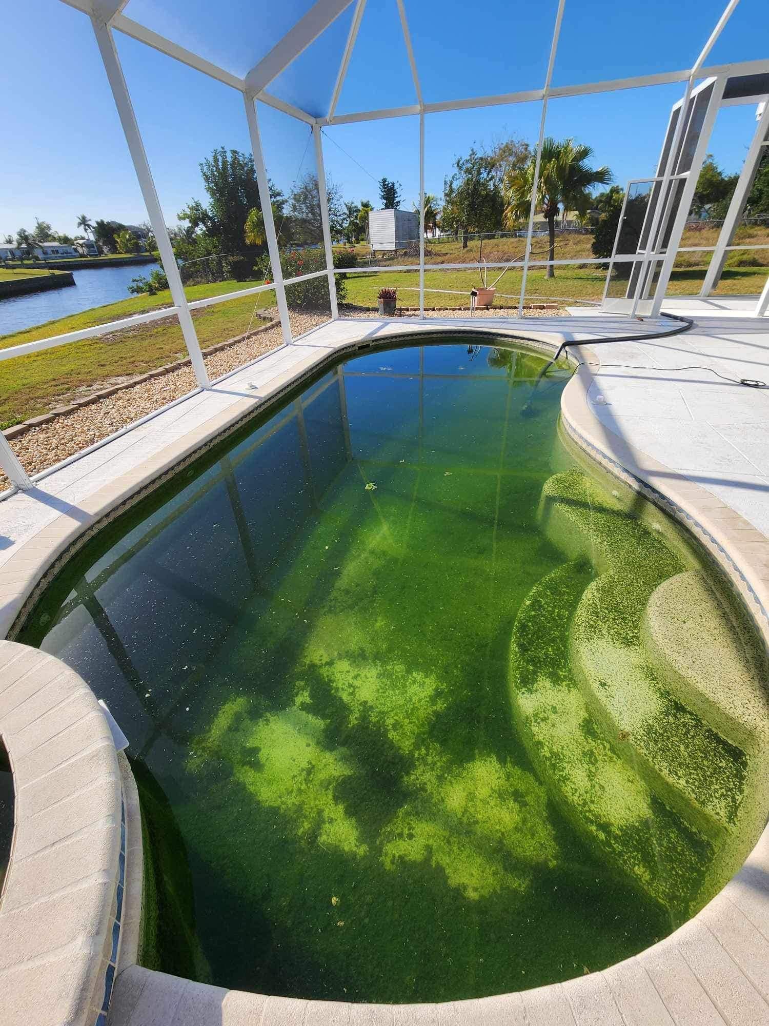 A swimming pool with a lot of algae in it