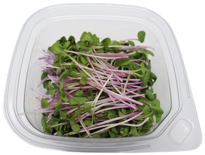 Container of red radish microgreens