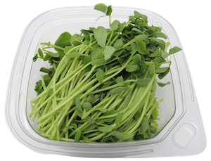 Container of speckled pea microgreens