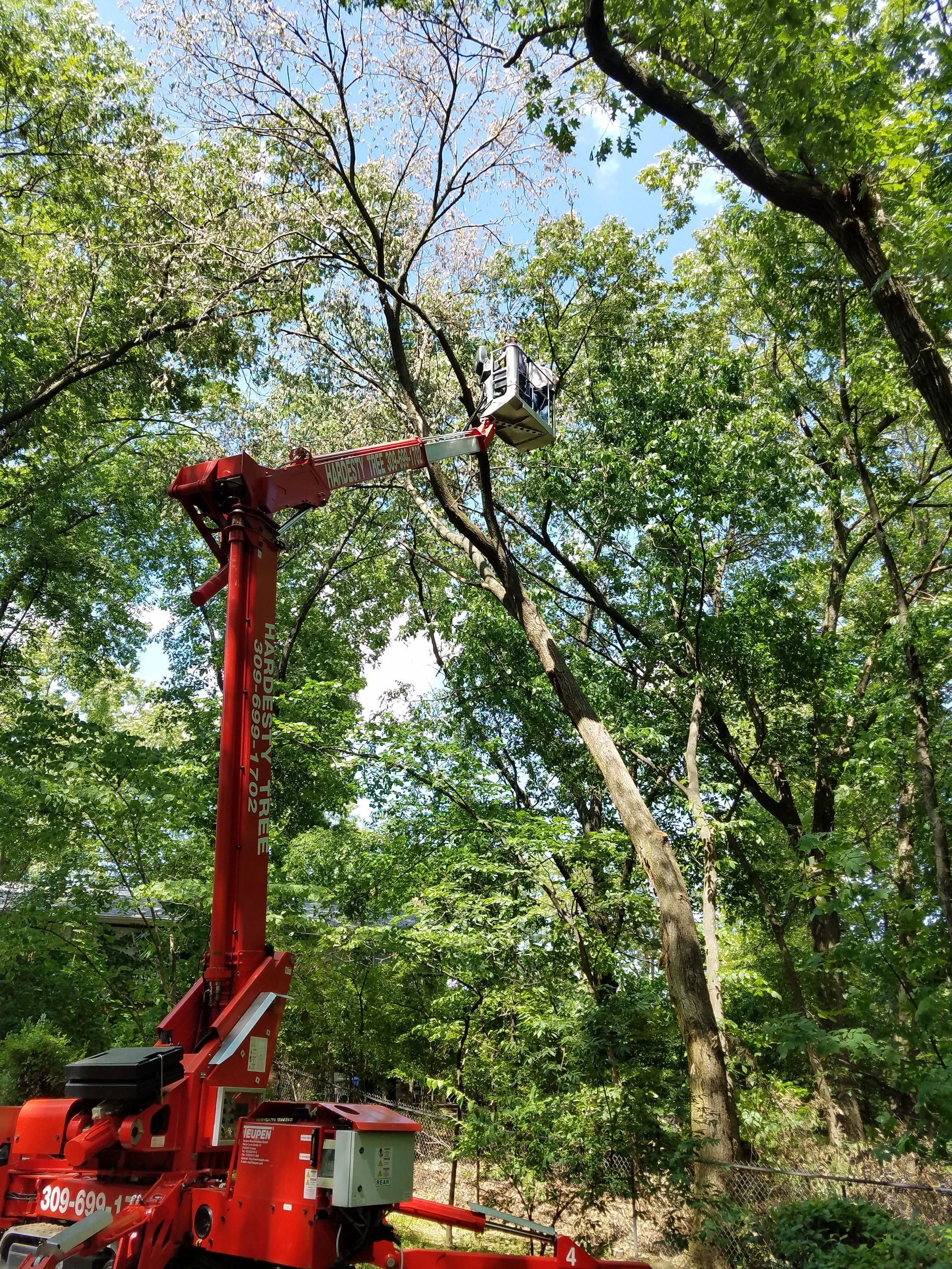 A man is standing in front of a truck with a crane attached to it.