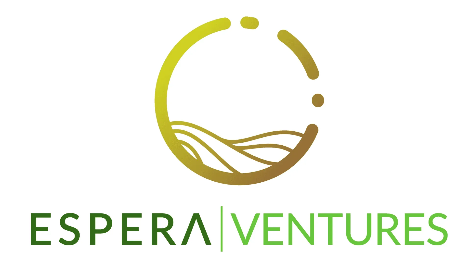 Brandie Narola Photography logo as a client of Mawazo Marketing