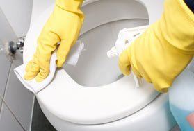 a cleaner cleaning a toilet 