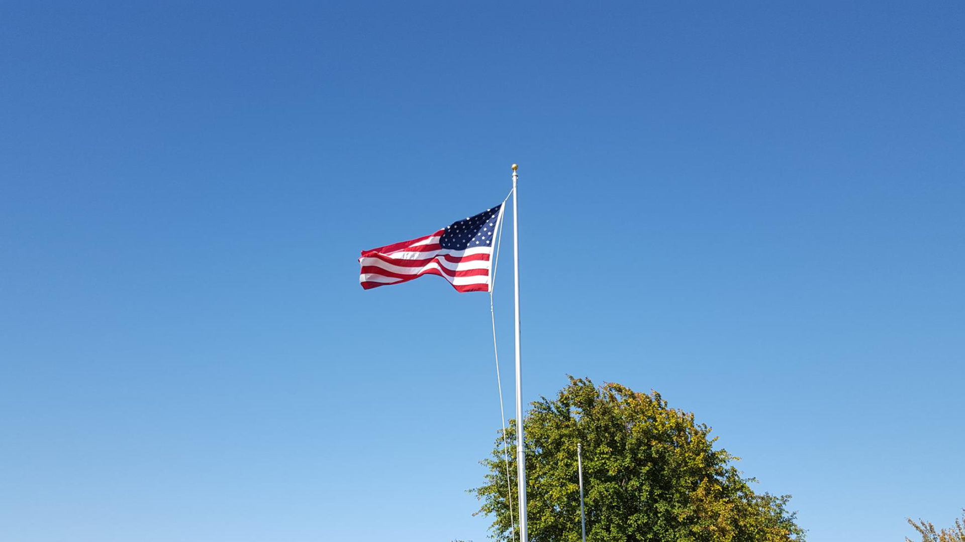 The American flag flies on a tall pole against a clear blue sky, with the top of a leafy tree visible below.