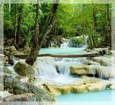 waterfall in forest