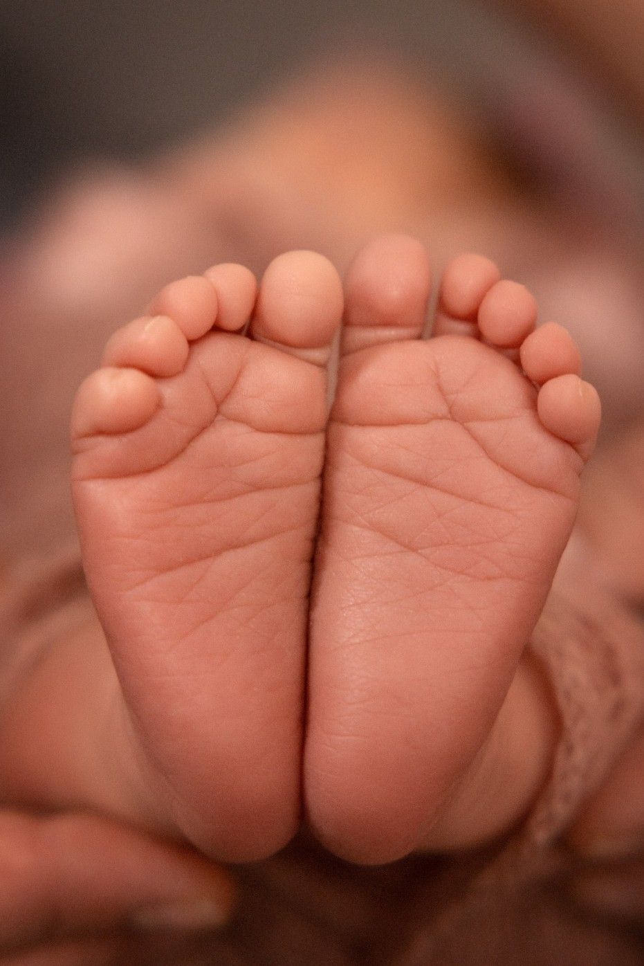 Newborn-Fotoshooting mit einem Schmusetier in Wien