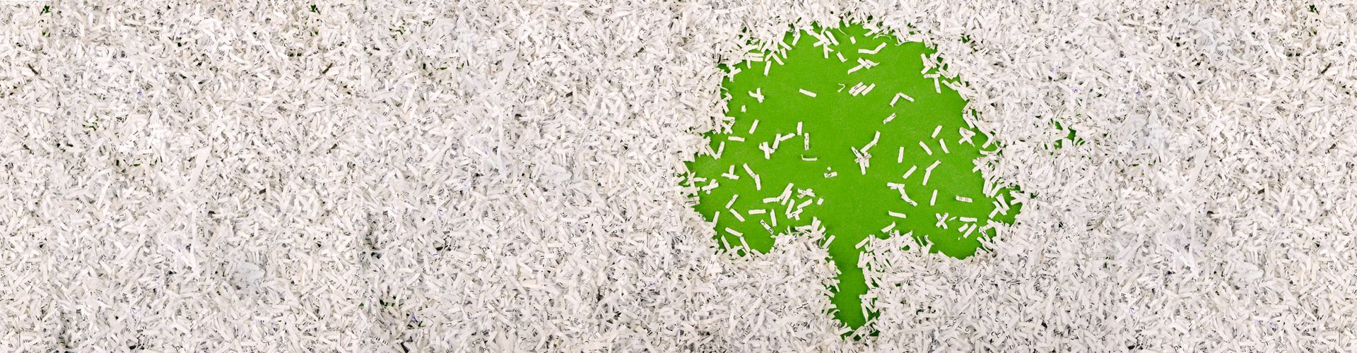 Protecting Information, Protecting the Planet