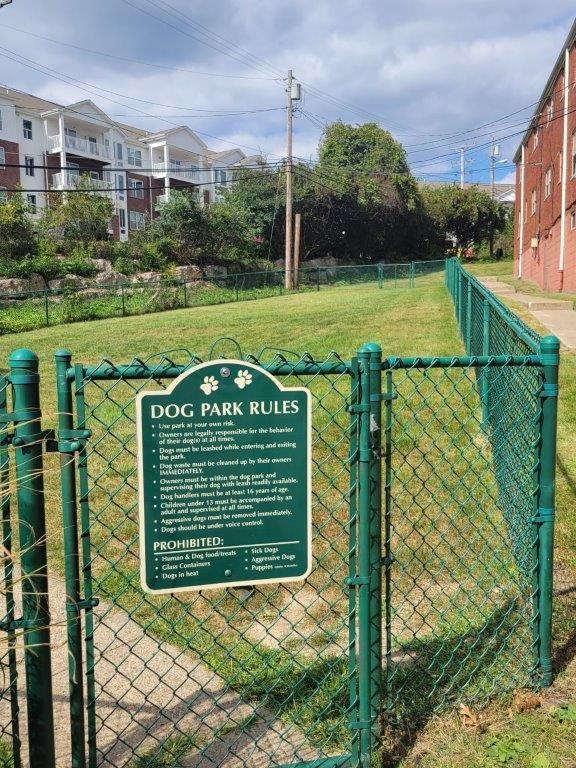 A green chain link fence with a sign that says dog park rules