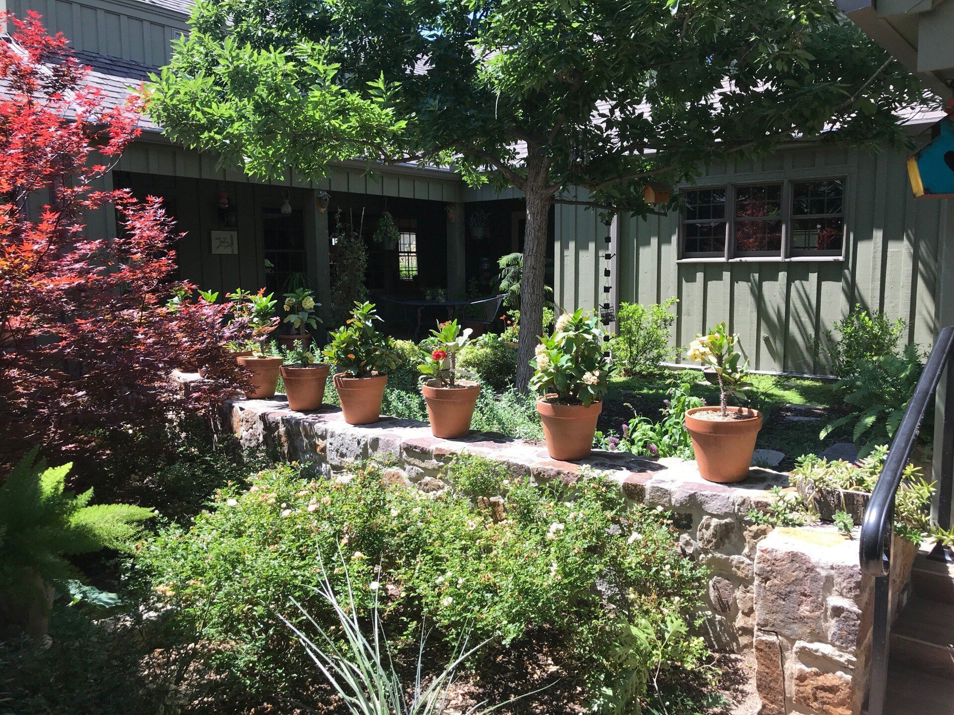 Potted Plants — Decatur, TX — Superior Lawn & Landscape