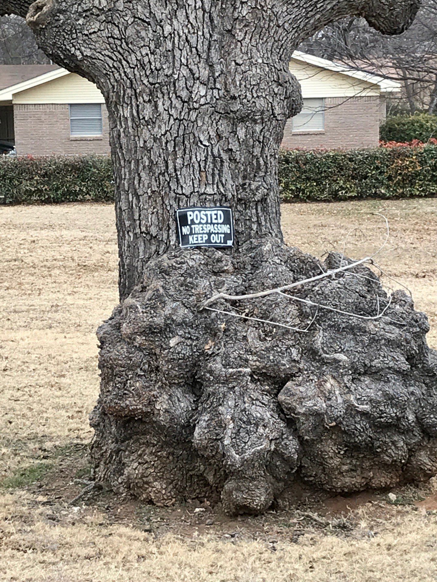Large Tree With No Trespassing Sign — Decatur, TX — Superior Lawn & Landscape