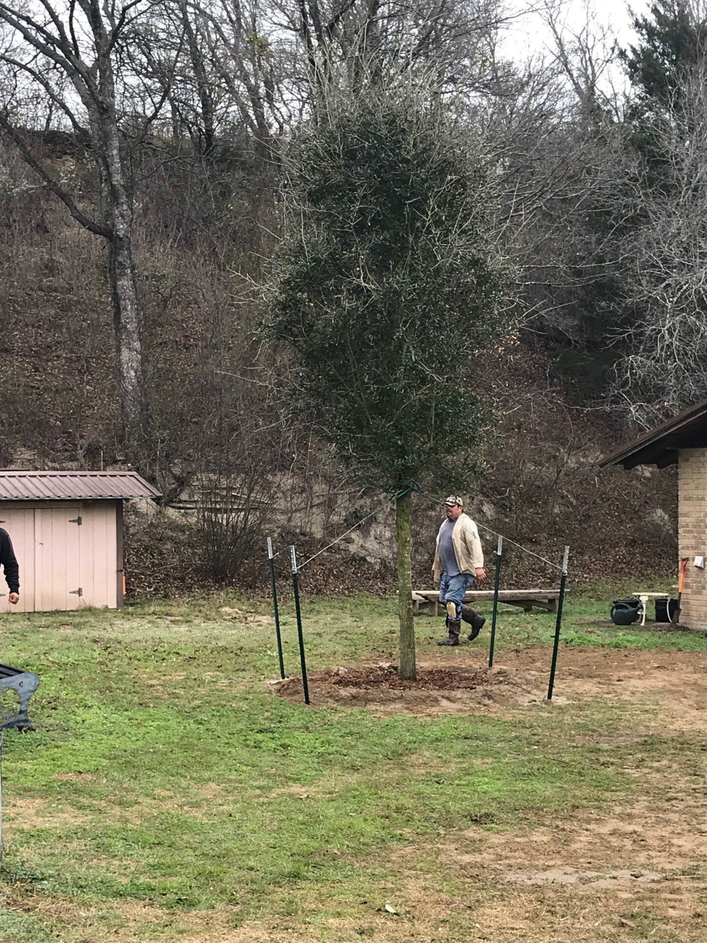 Tree Planting — Decatur, TX — Superior Lawn & Landscape