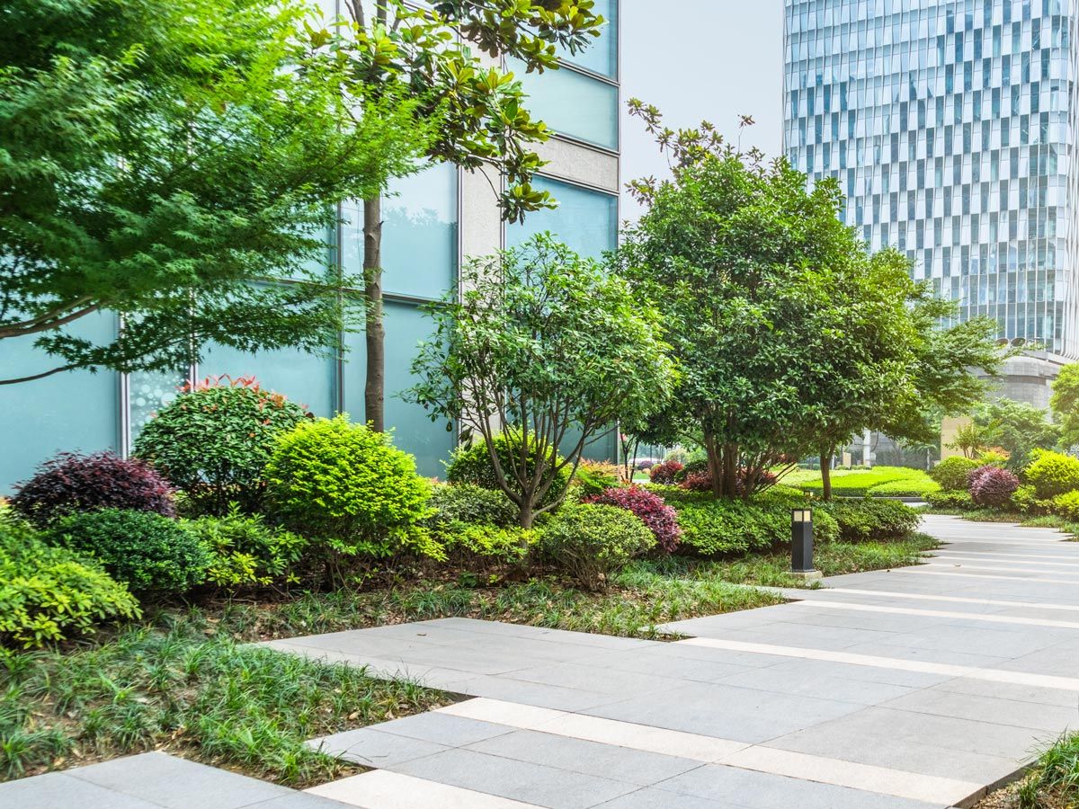 Landscape Plants With Walk Path — Decatur, TX — Superior Lawn & Landscape