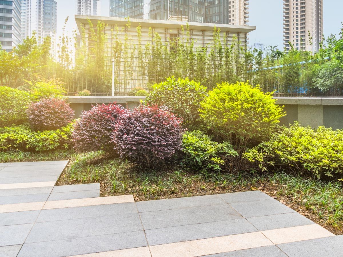 Commercial Landscape Plants — Decatur, TX — Superior Lawn & Landscape