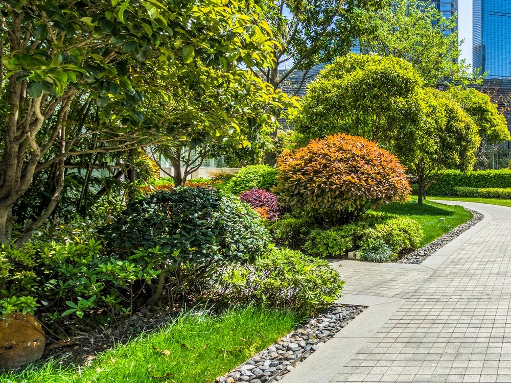 Plants And Trees With Walk Path — Decatur, TX — Superior Lawn & Landscape