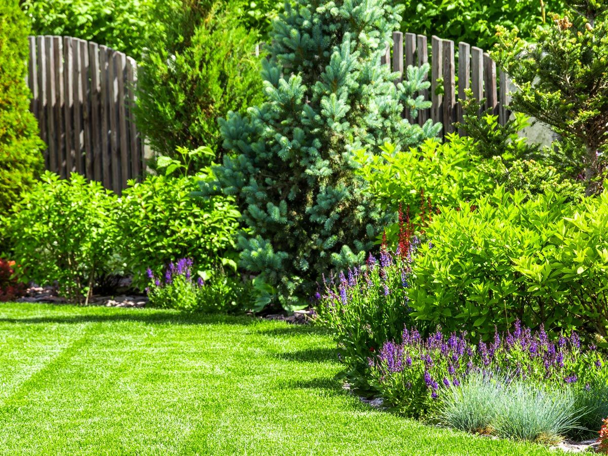 Green Landscape — Decatur, TX — Superior Lawn & Landscape