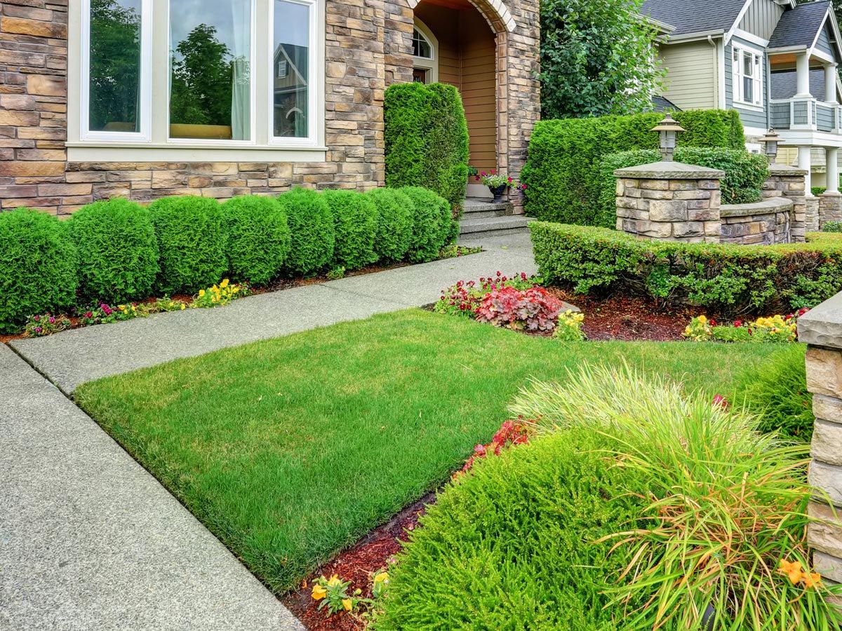 Green Bushes And Lawn — Decatur, TX — Superior Lawn & Landscape