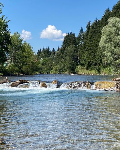 Een rivier met in het midden een waterval, omgeven door bomen.