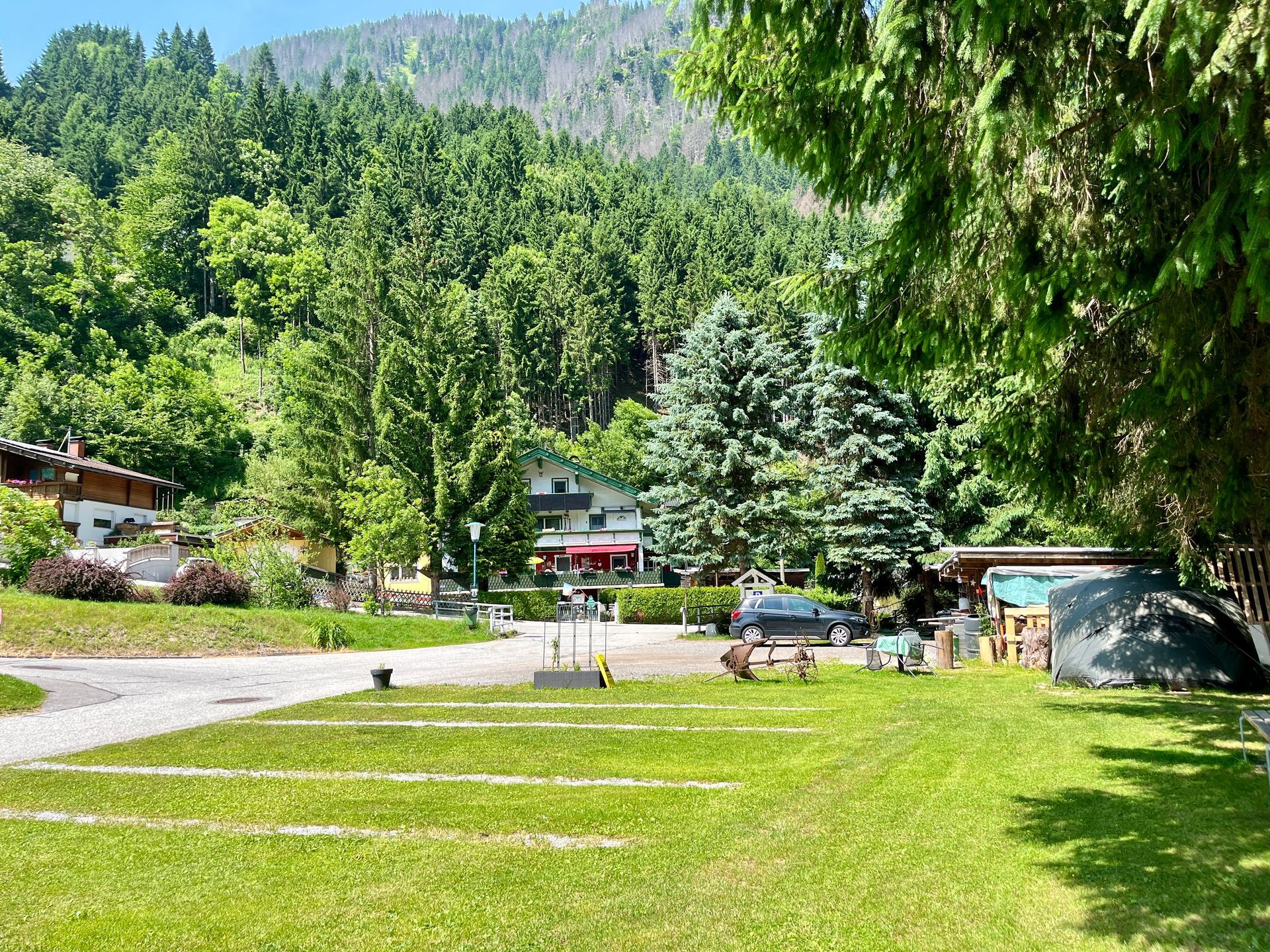 Groene, met gras begroeide camping met bomen op de achtergrond, gelegen in een bosrijk gebied met zichtbare bergen.