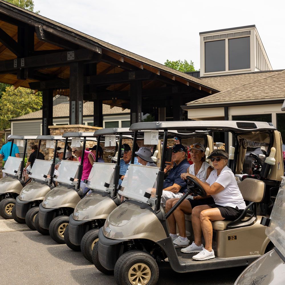 Row of Golf Carts — Lake Wylie, SC — Mayday Project
