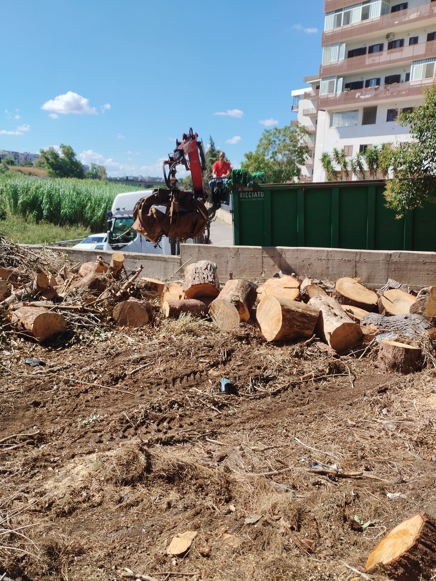 Raccolta di rifiuti non pericolosi a Lecce come pezzi di legno