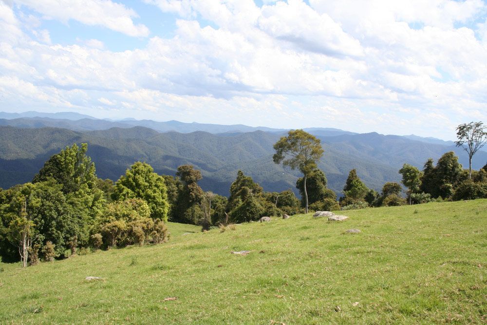 A Grassy Field With Trees And Mountains In The Background — Brett Hall Floorsanding in Kempsey, NSW