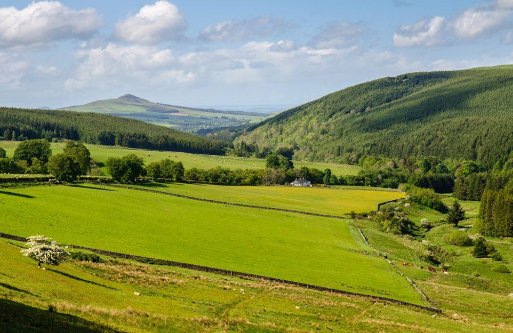 A View Of A Lush Green Field With Mountains In The Background — Brett Hall Floorsanding in Wauchope, NSW