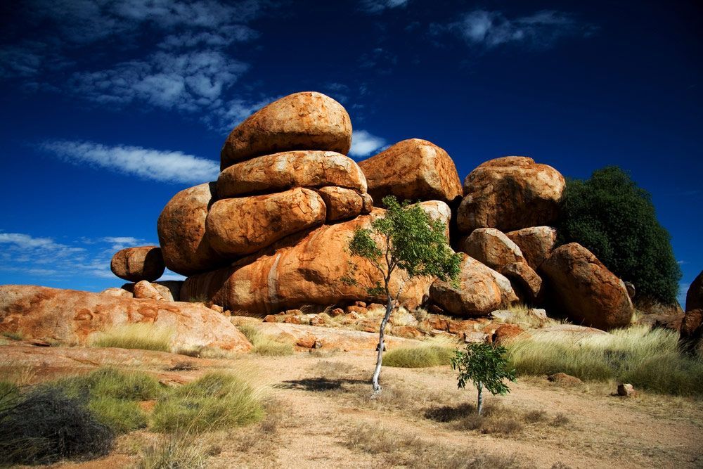 A Tree Is Standing In Front Of A Pile Of Rocks — Brett Hall Floorsanding in Wauchope, NSW