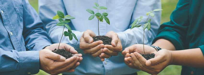 Three people with outstretched hands each holding a small plant 