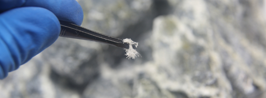 An MP Environmental Services Inc employee holding an asbestos fiber with tweezers