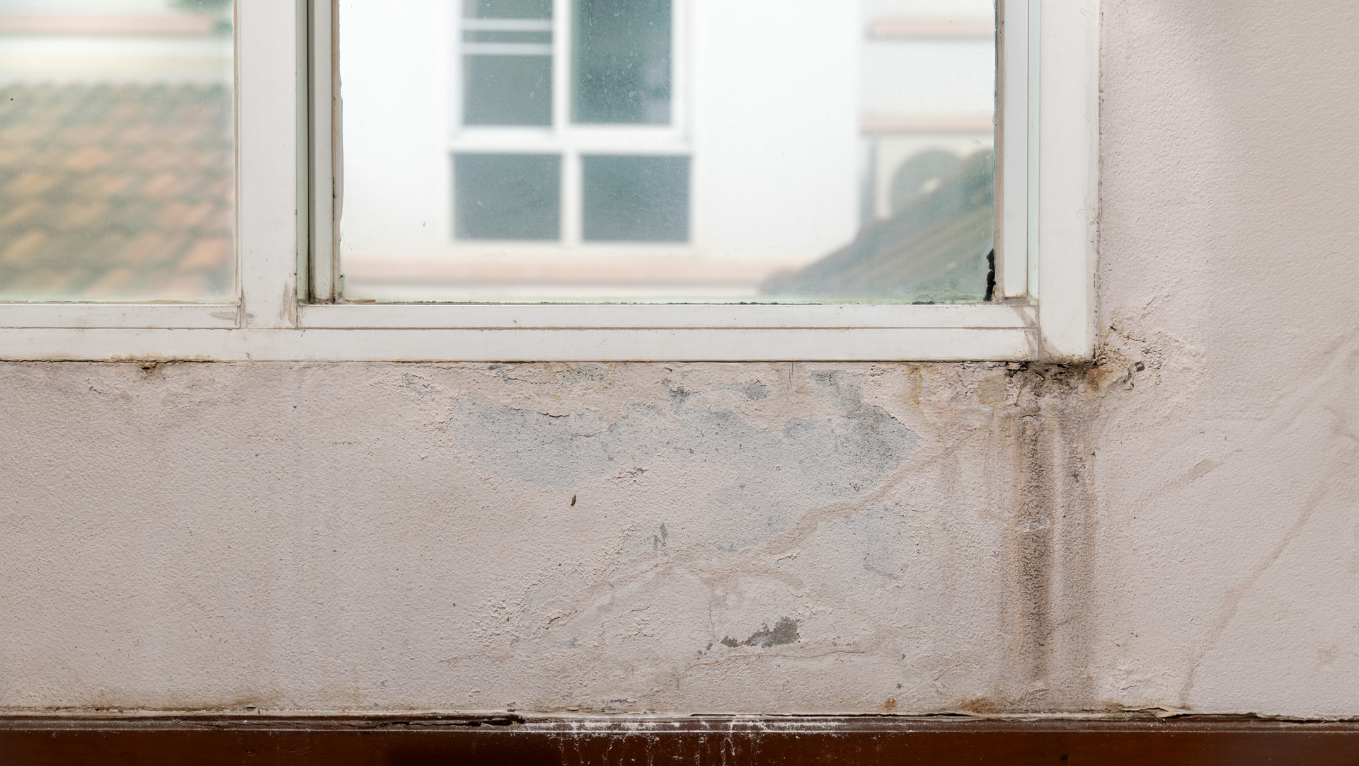 A window with a lot of mold and caulking with PCBs.