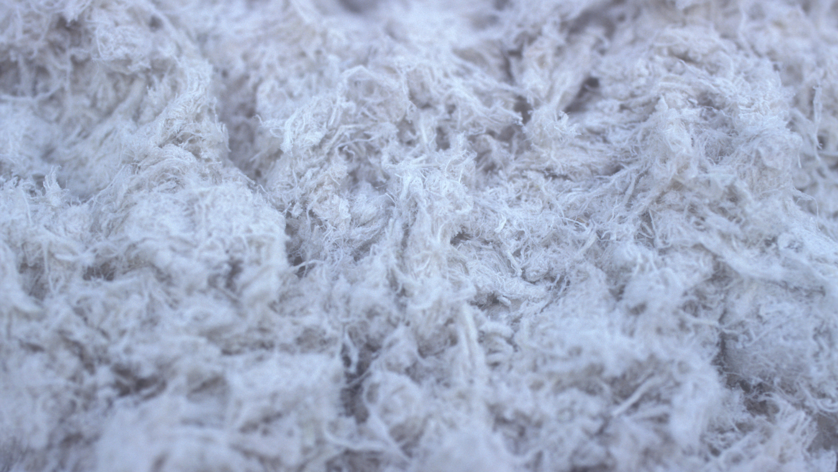 A closeup image of asbestos