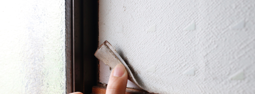 An MP Environmental Services employee pulling back old wallpaper to reveal PCBs