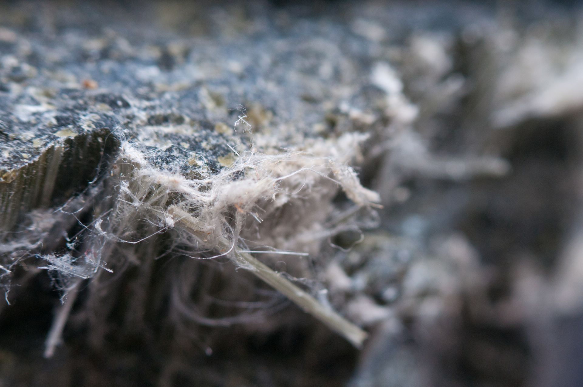 A close up of a piece of asbestos in a building remediated by MP Environmental Services.