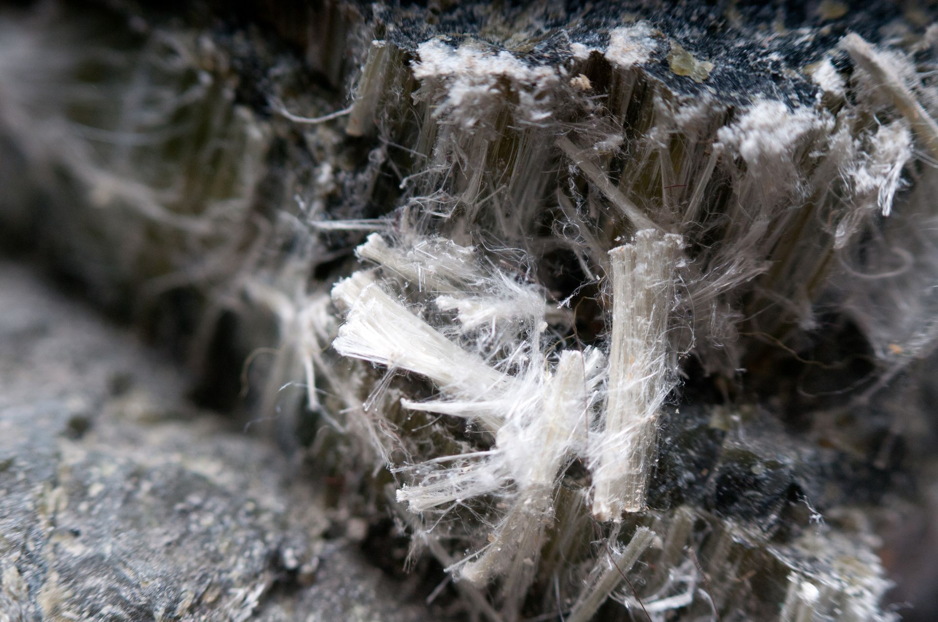 Close-up of white, fibrous asbestos material.