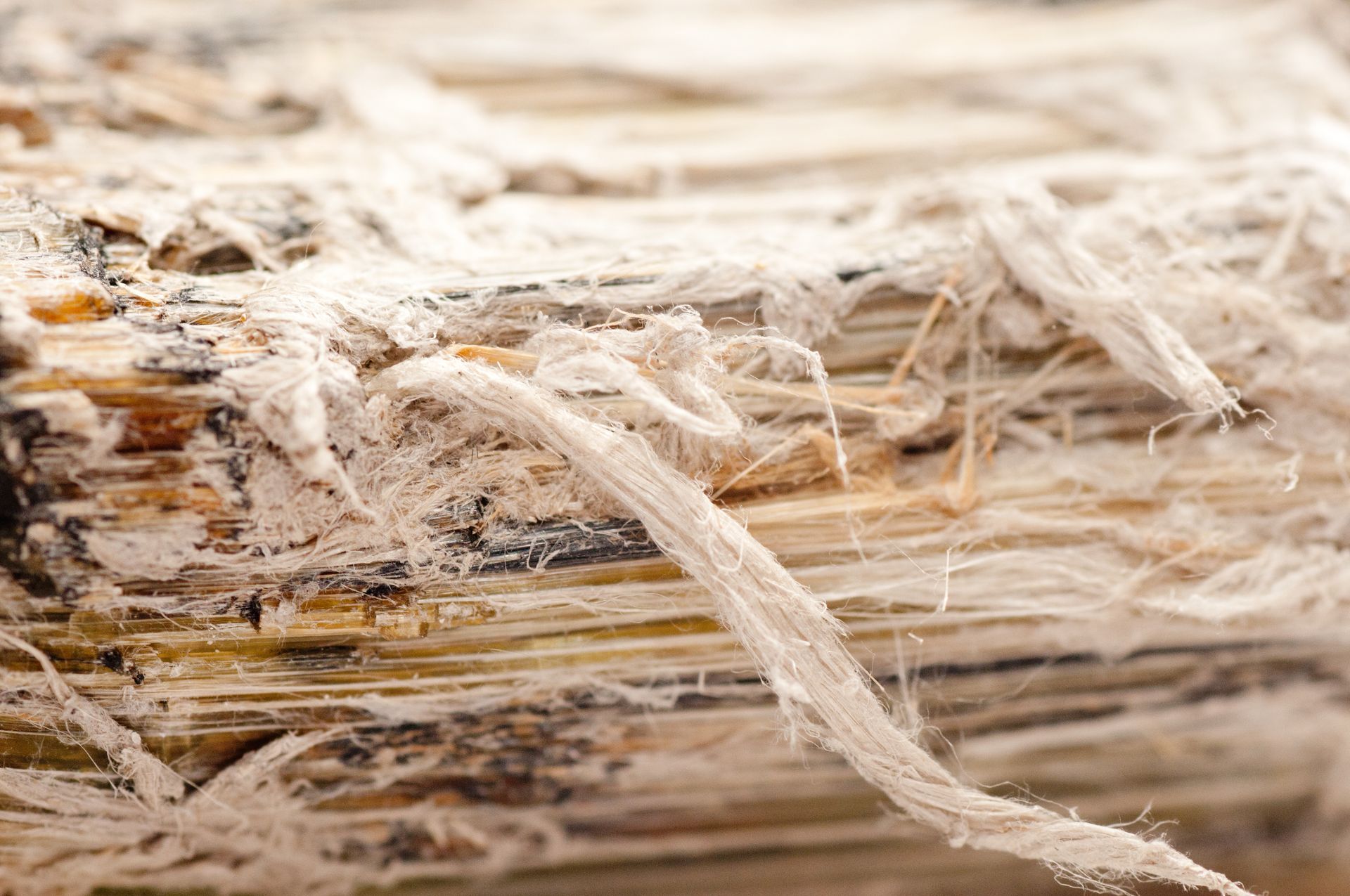 A close up of asbestos fibers from a building remediated by MP Environmental Services