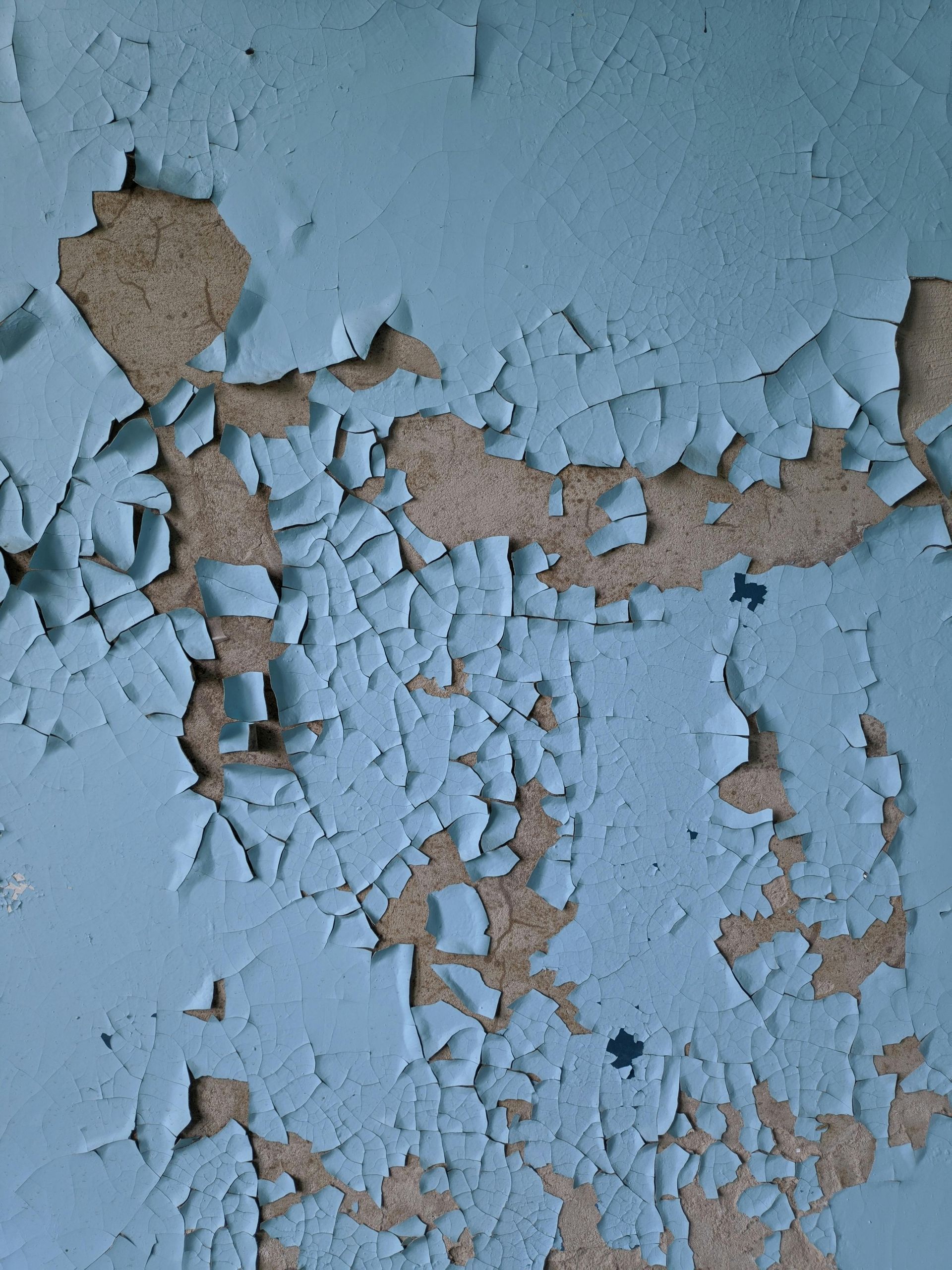 Flaking blue lead paint on a textured, light brown surface in a commercial building.
