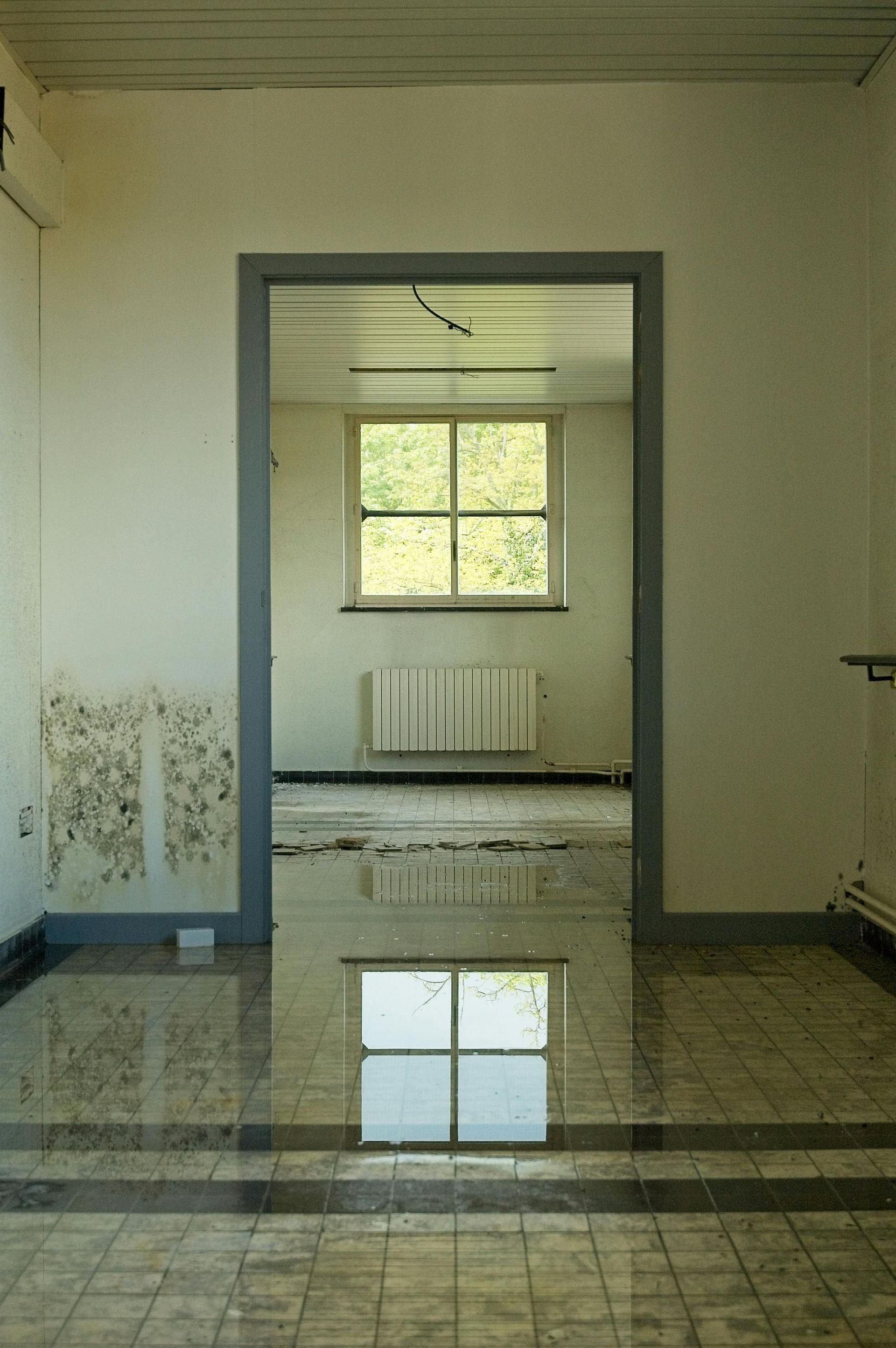 An empty room, reflected in a flooded floor, shows a window and radiator. White walls with mold.