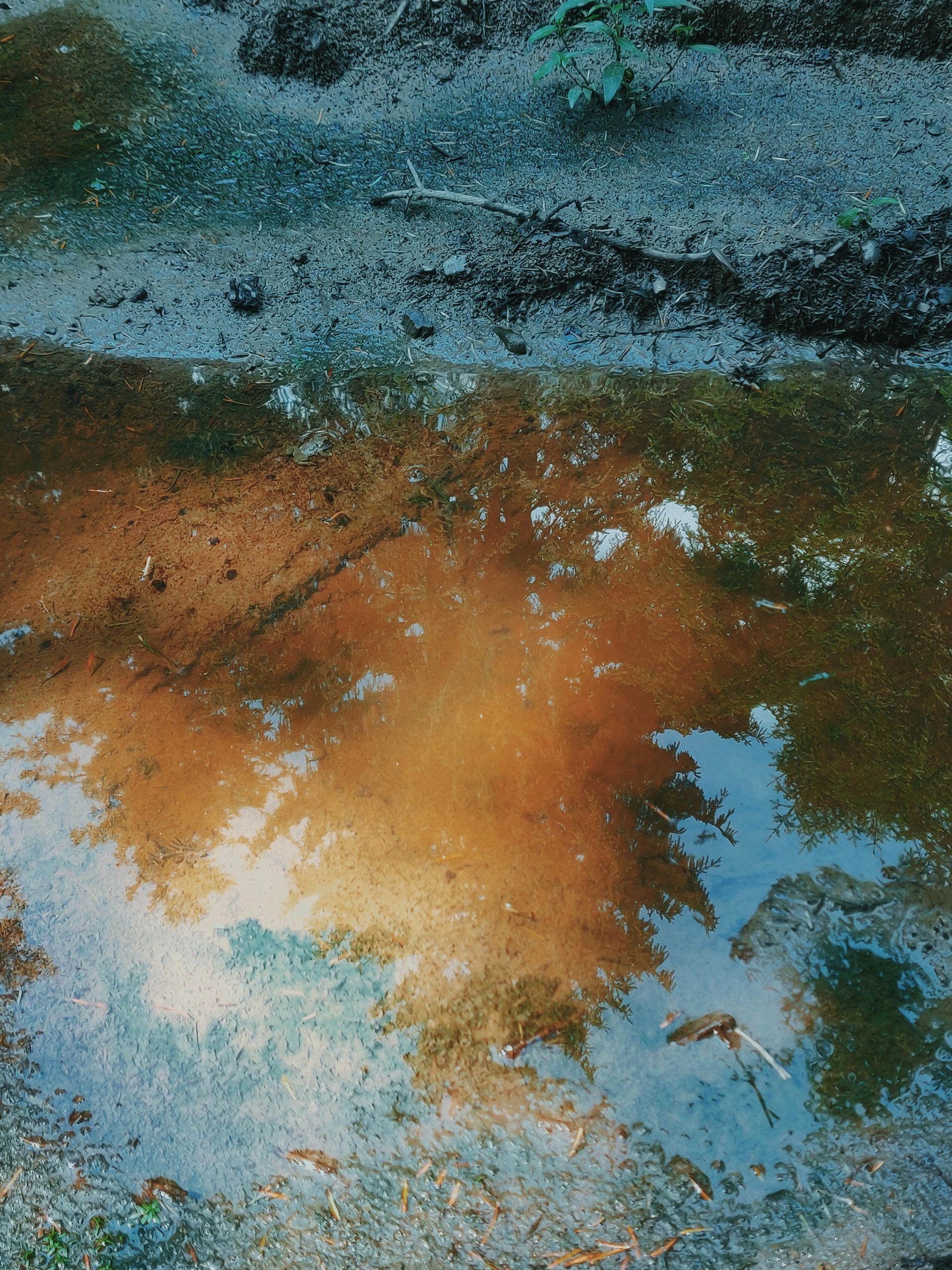 Puddle reflecting trees and sky, on a dirt path with brownish-orange and blue hues.