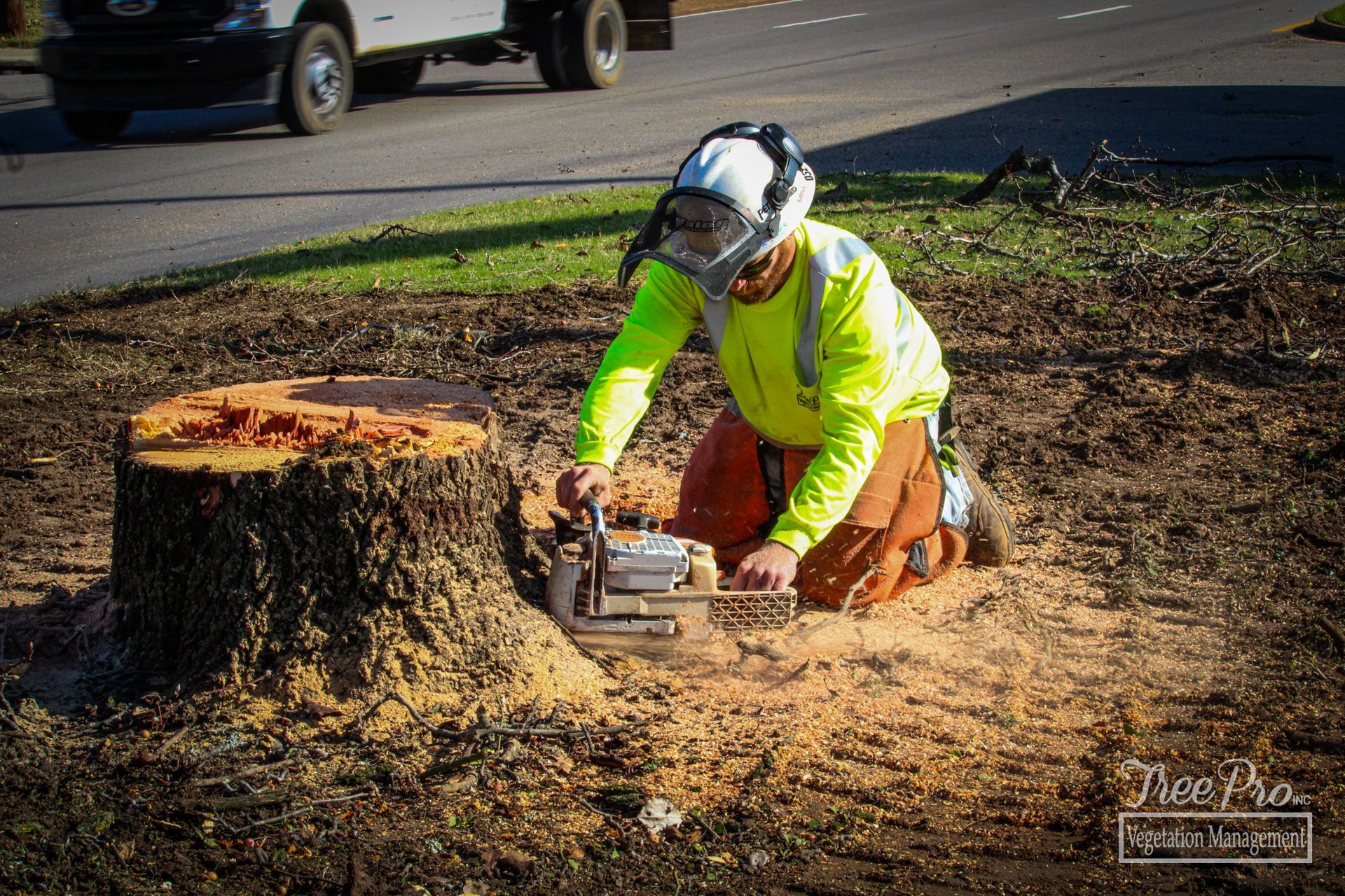 Stump Removal — Killen, AL — Tree Pro Inc.