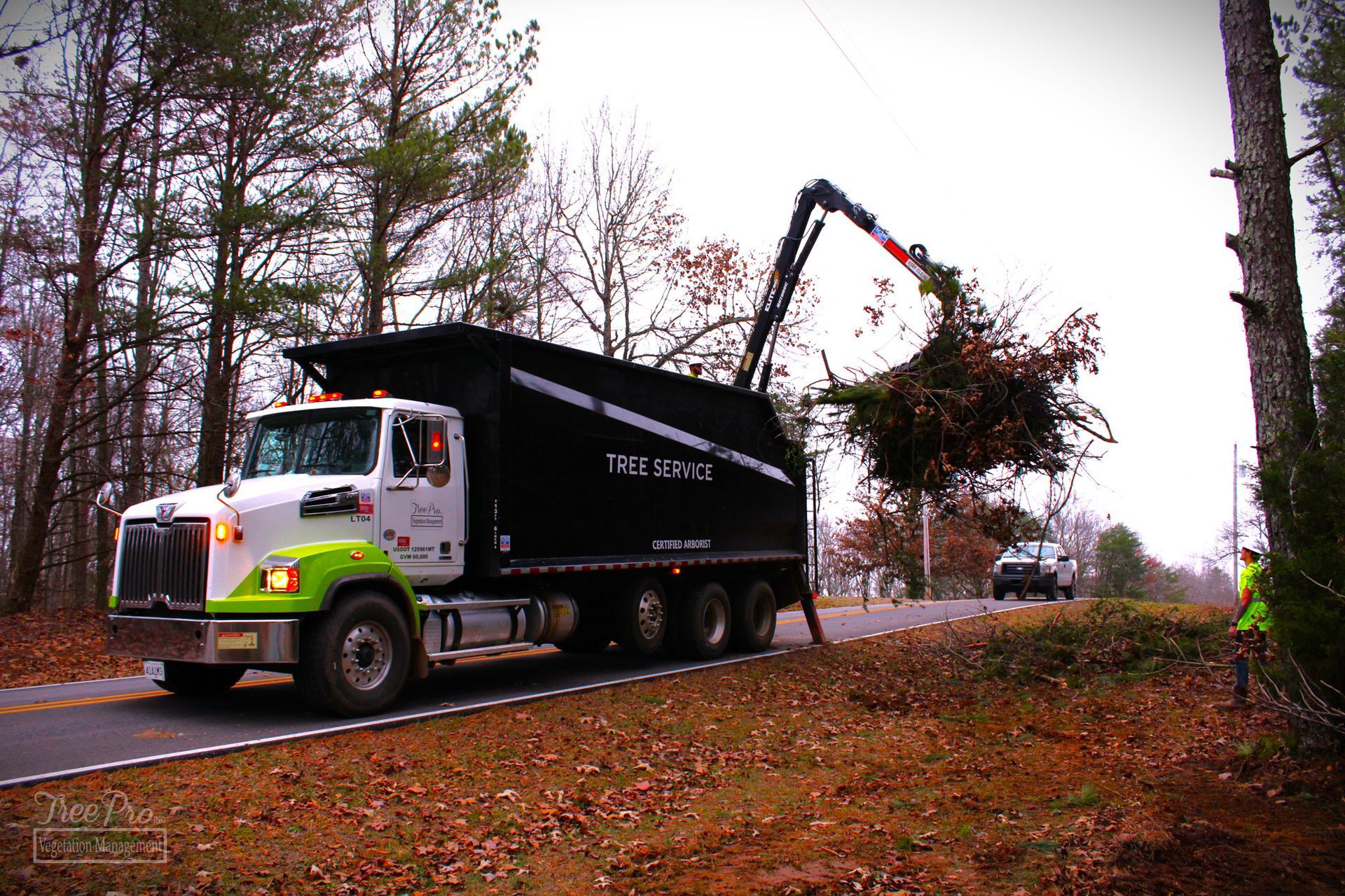 Tree Removal Services — Killen, AL — Tree Pro Inc.