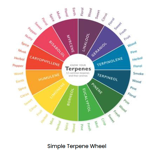 Terpene wheel
