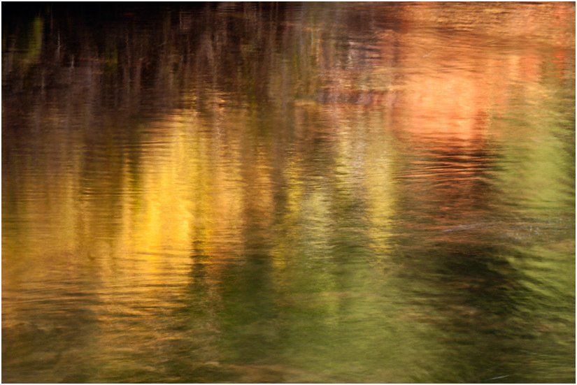 A painting of trees reflected in a body of water.