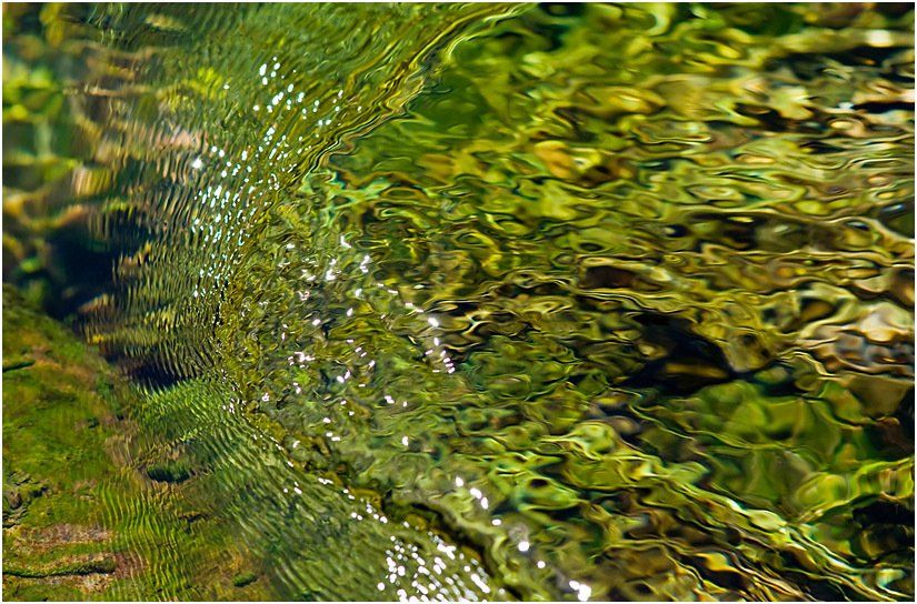 A close up of a river with a lot of green water