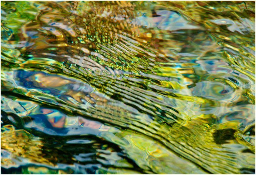 A close up of a painting of a peacock feather in the water.