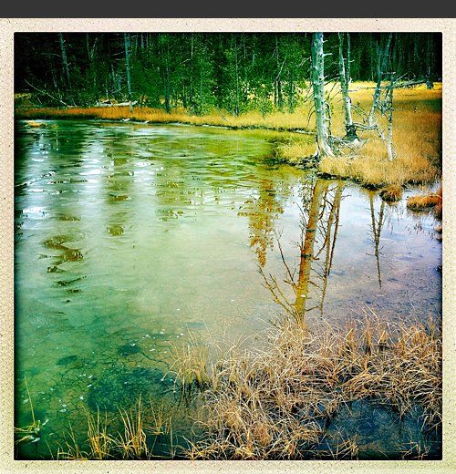 Ice Pond in Yellowstone National Park