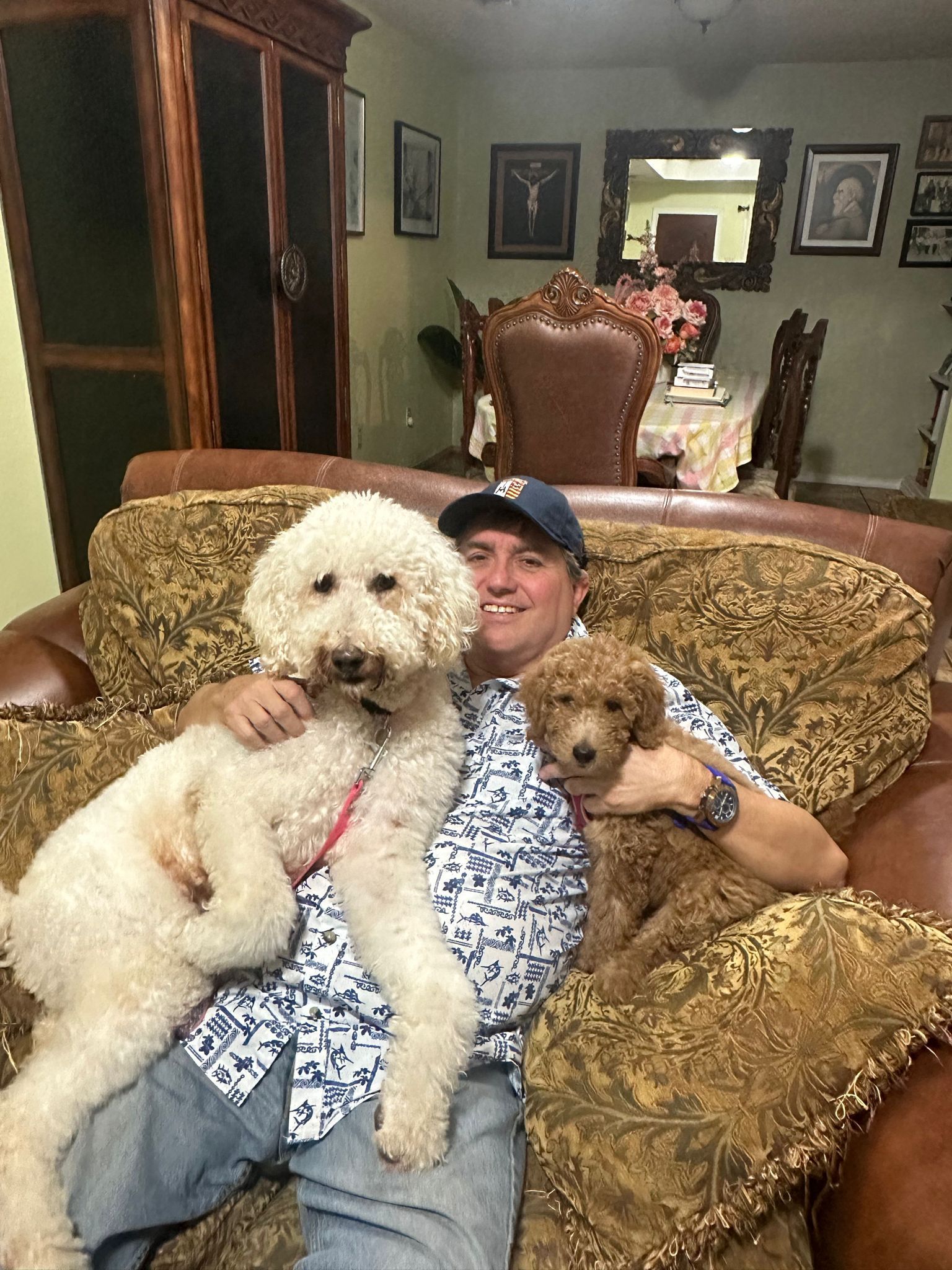 Man sitting on a sofa, hugging two poodles in a living room with ornate furniture.