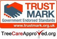 Tree preservation - Ellesmere Port, Cheshire - Design Construction Management Services Ltd - Trust Mark