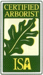 Tree surgeon - Macclesfield, Cheshire - Design Construction Management Services Ltd - Certified Arborist